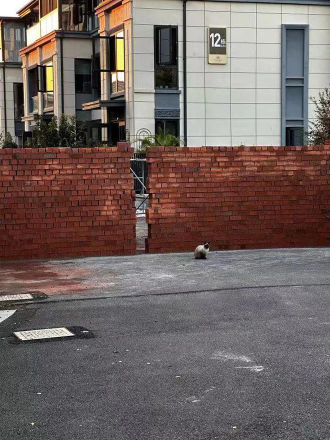 儿童活动室楼上居民很担心龙8游戏进入小区一楼要开(图3)